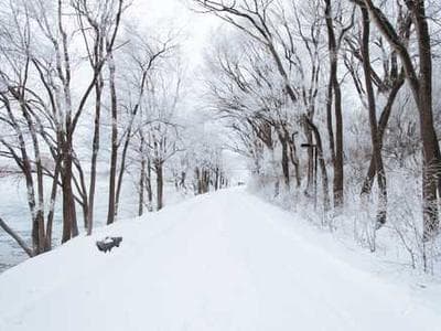 Modern e-commerce platform dashboard showing analytics and product management interface